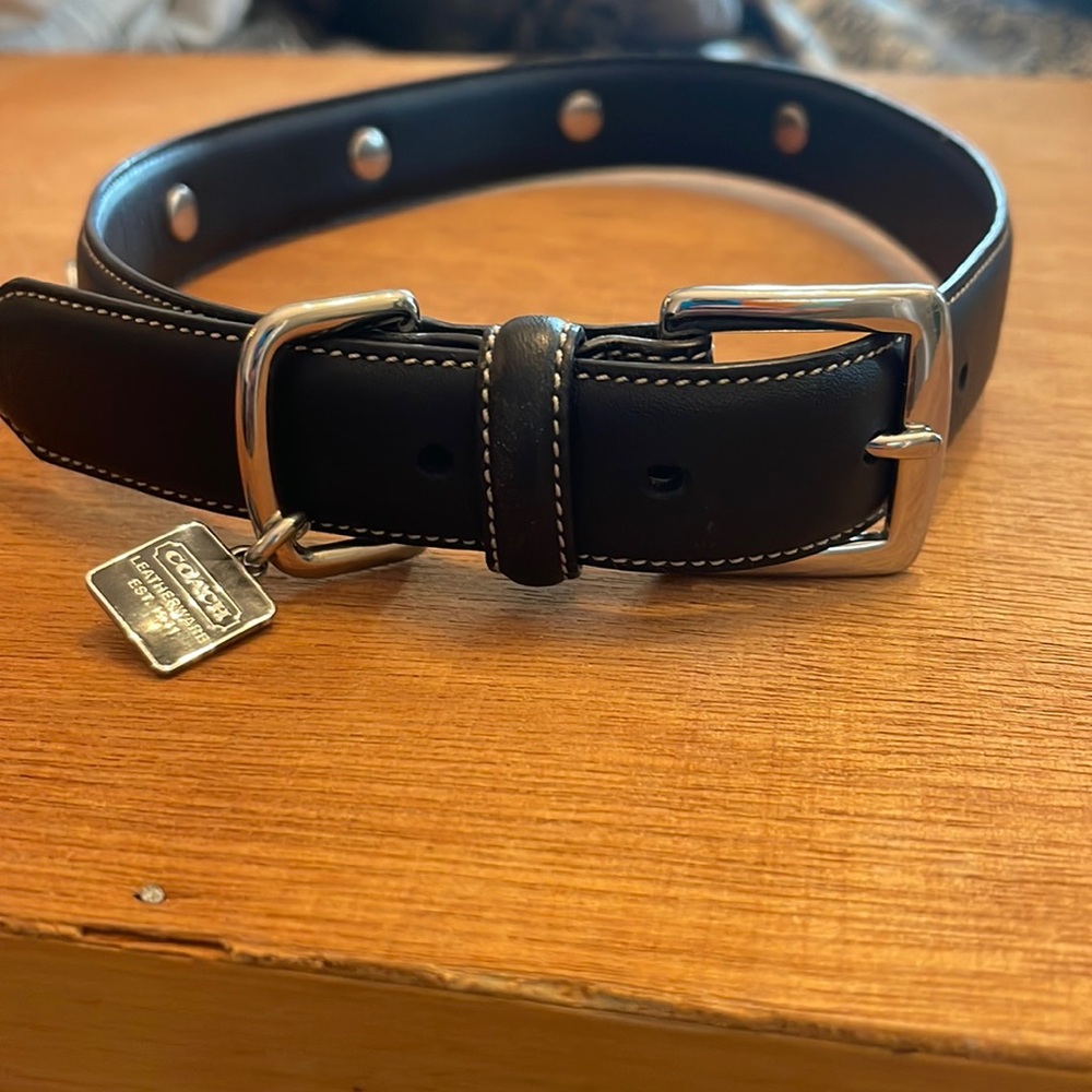 Coach Dog Collar
